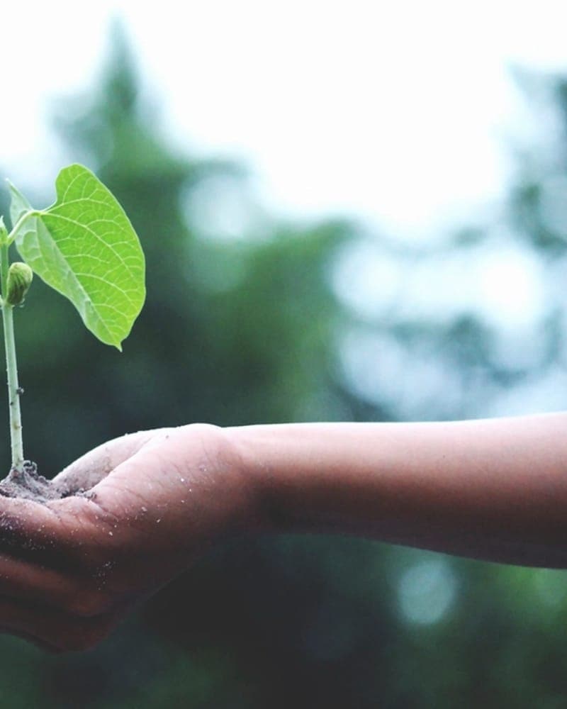 World Environment Day
